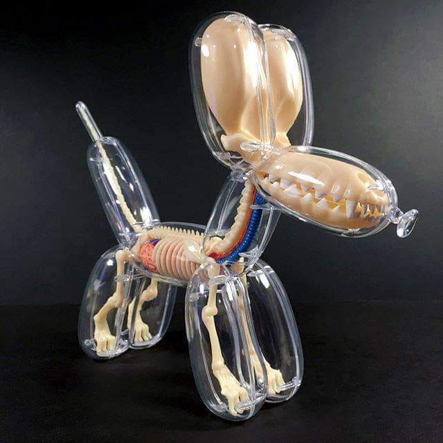 THE VISIBLE DOG Assembly Kit Renwal, 1961 Click for Full Image