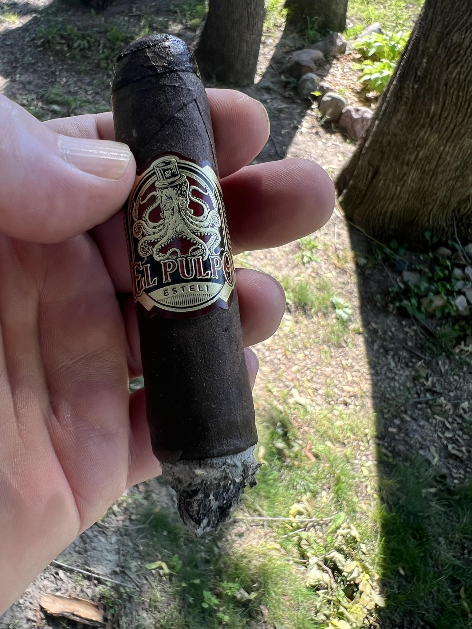 Exotic tobacco delicioso green label cigar review