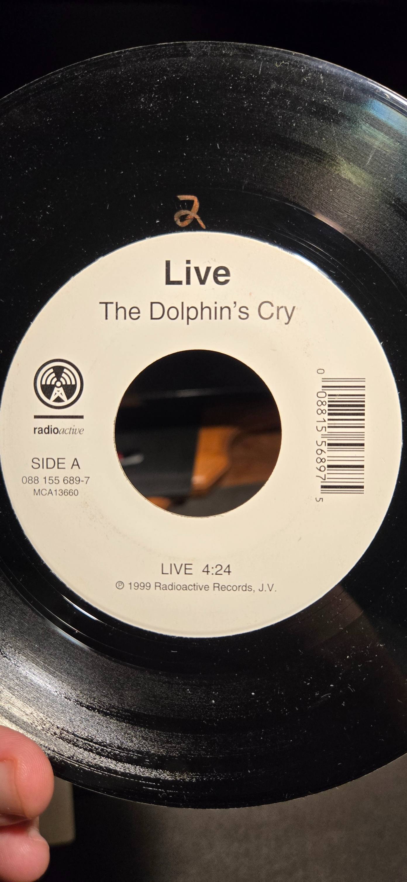 Swimming with dolphins cd releases