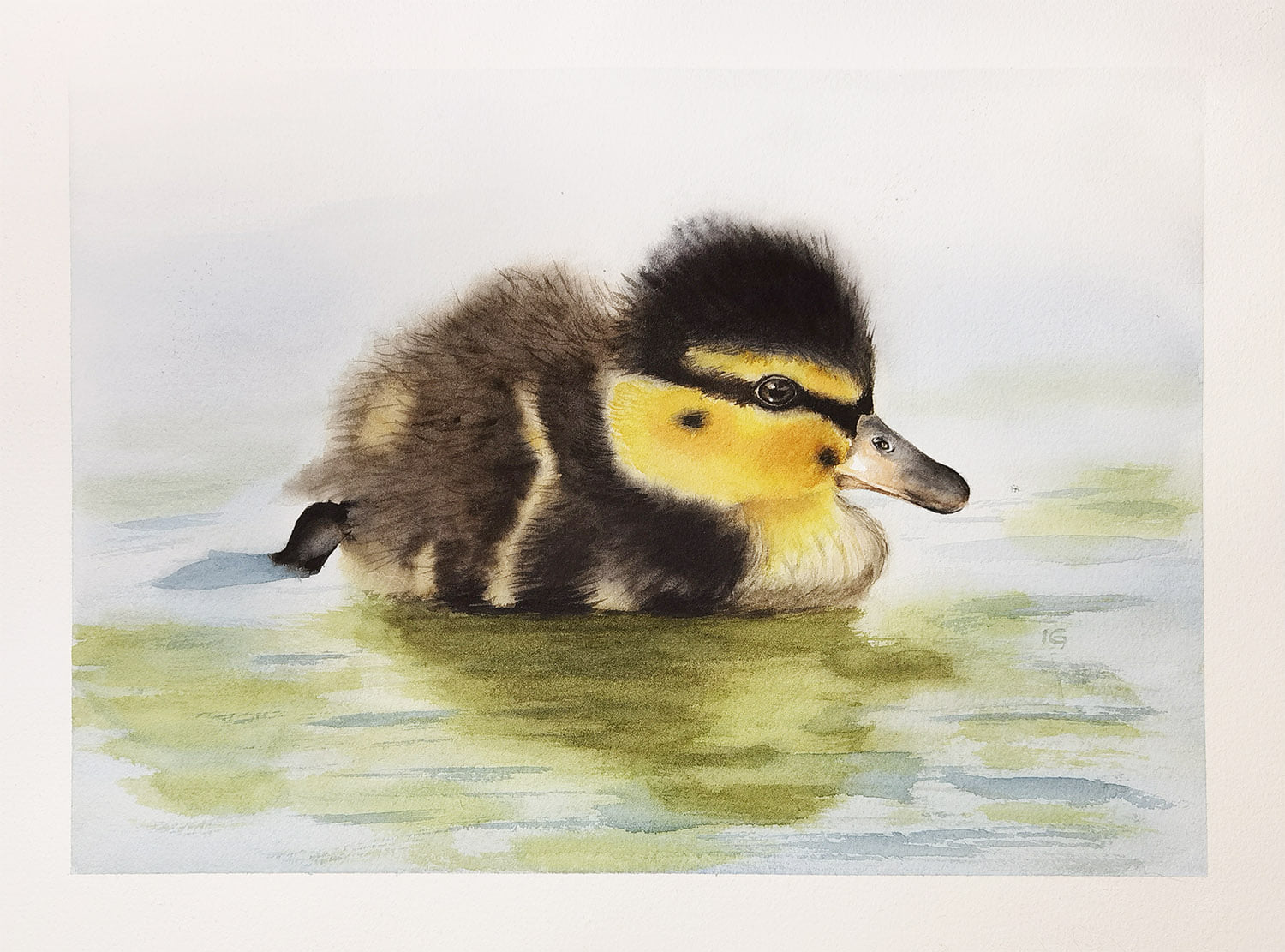 Watercolor duckling splashing tutorial