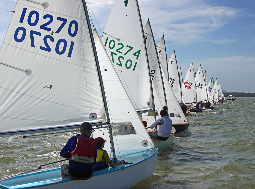 Australian Paper Tiger Catamaran Association | Facebook