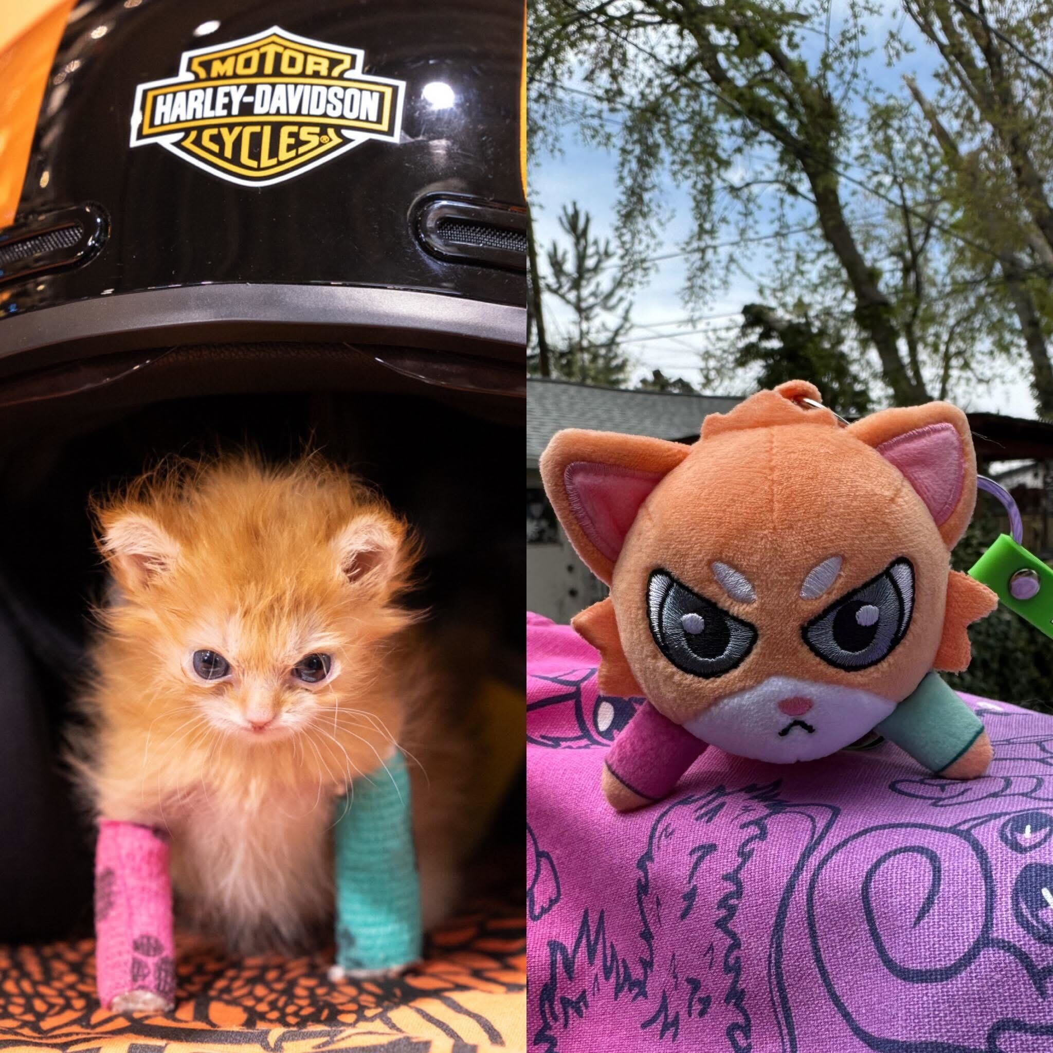 Tater tot keychain supports Kitty Crusaid