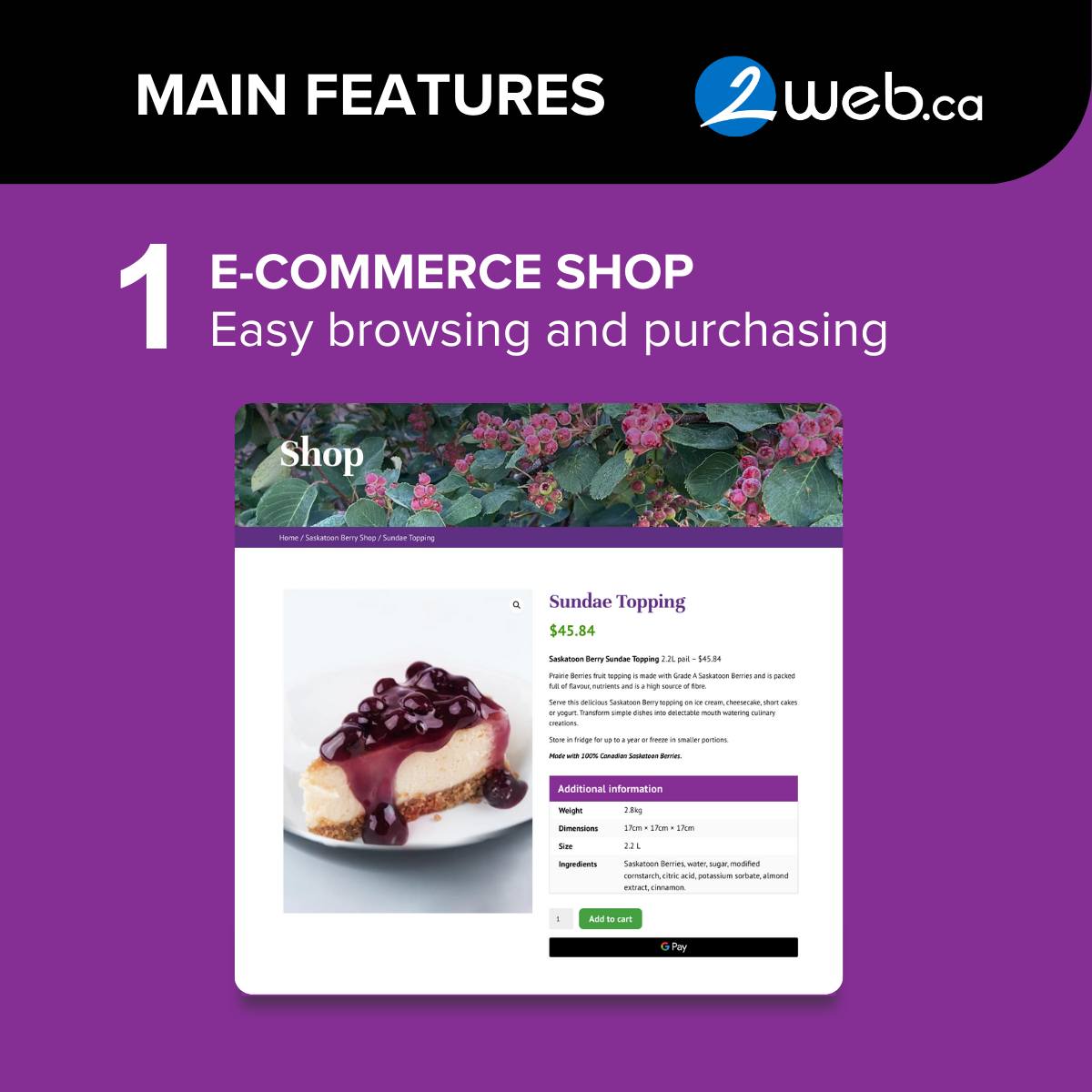 2web.ca | Saskatoon SK