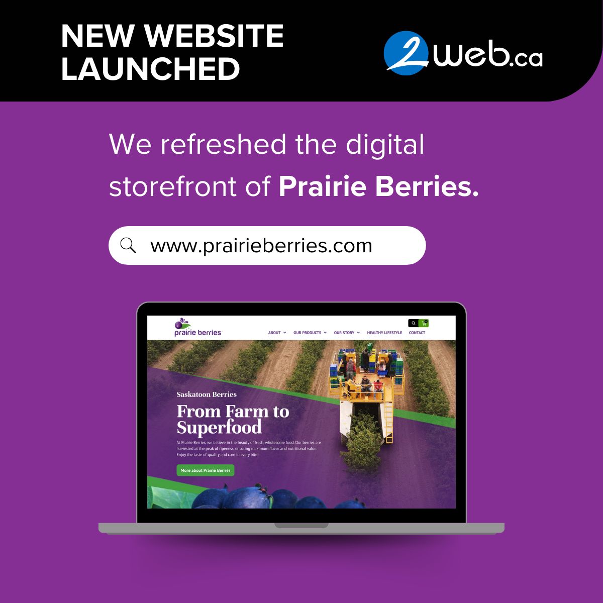 2web.ca | Saskatoon SK