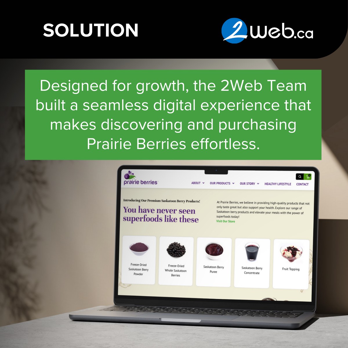 2web.ca | Saskatoon SK