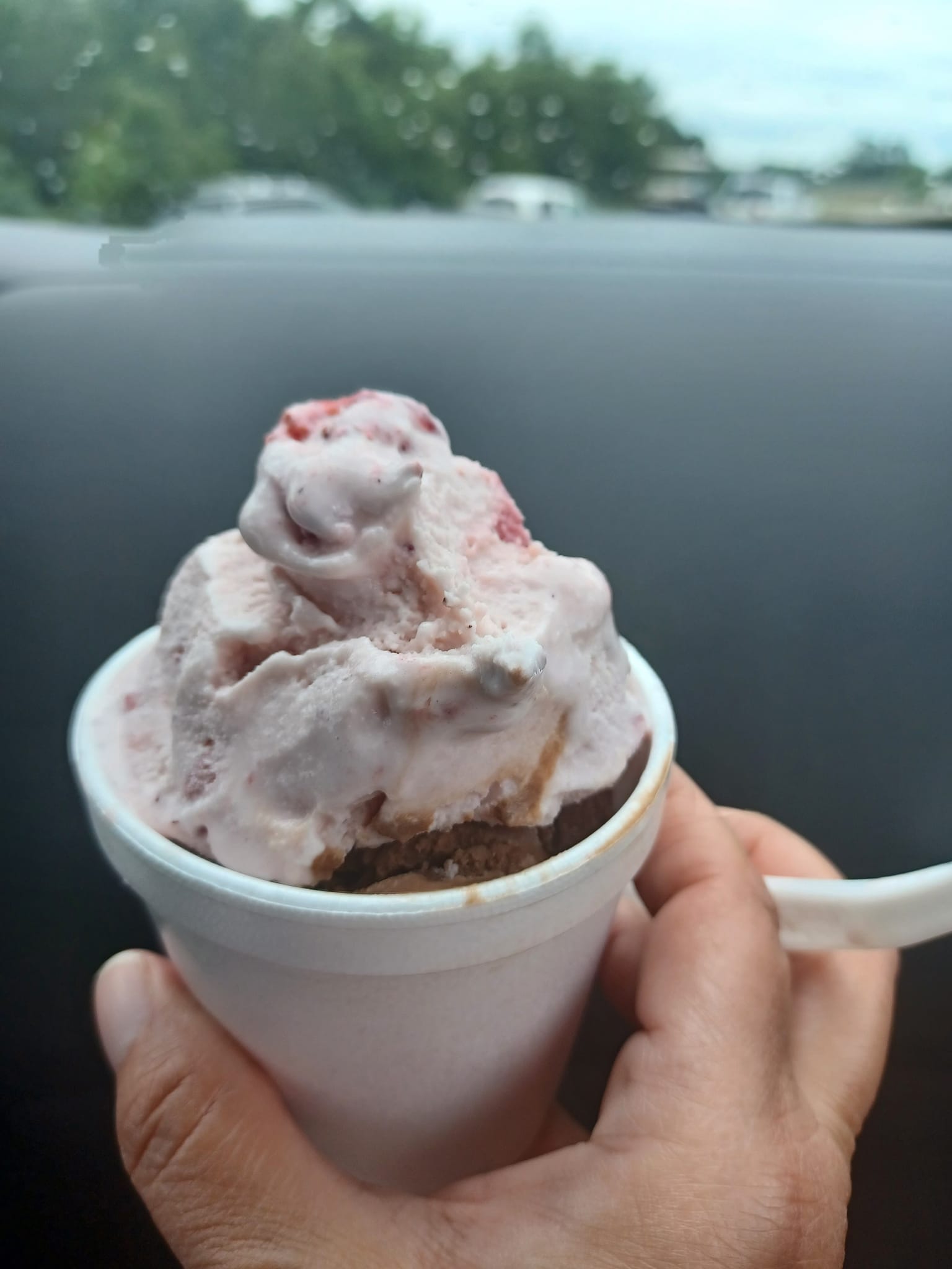 Delicious Homemade Ice Cream and Produce at The Berry Patch near