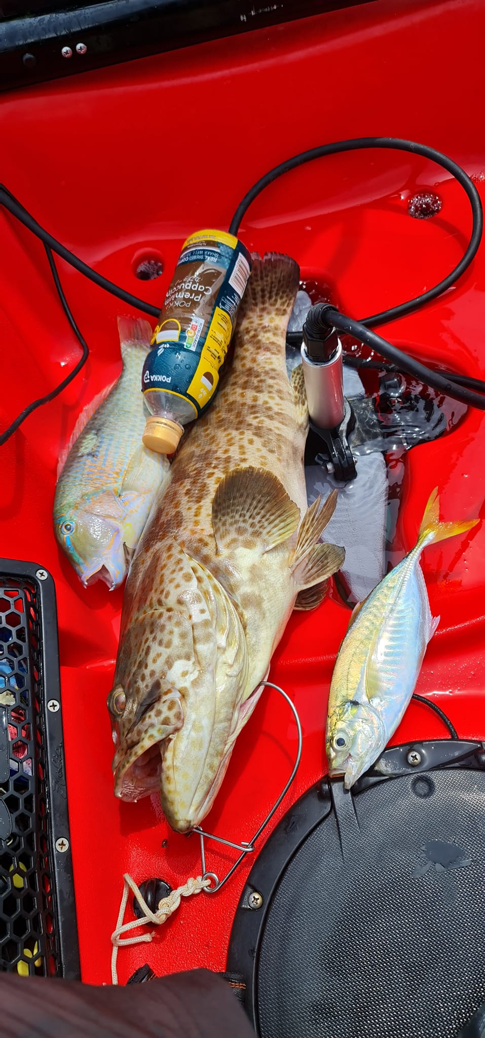 tailwalk LIKA C70M Tailwalk Crimson C106MH-R (Baitcasting 2 Piece)