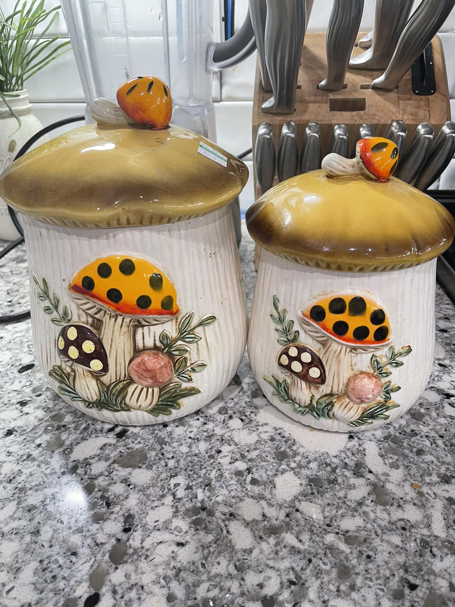 Found this set of 1976 Sears and Roebuck chicken canisters at my