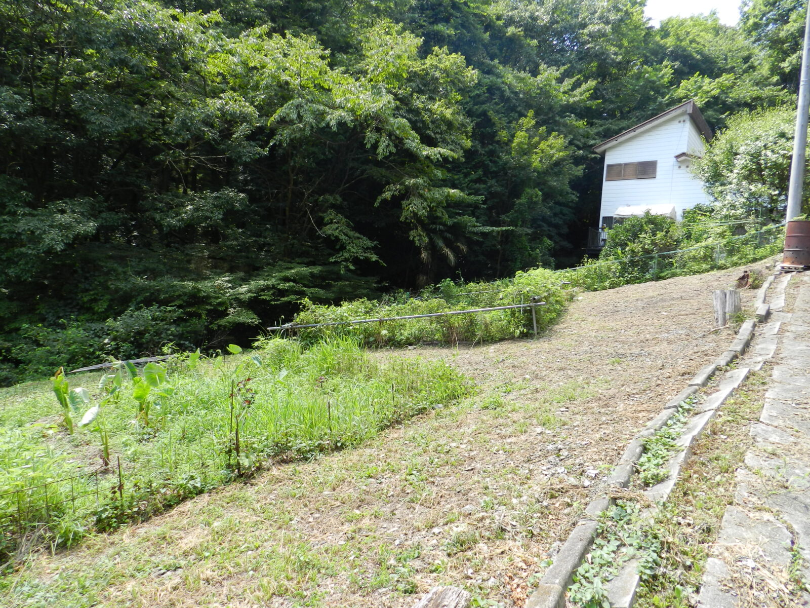 長瀞町の森の中！コーラスの里 88坪の土地！』 長-47 物件の登録が 