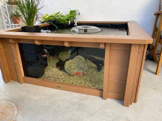 I've had my 172 gallon Lotus Clear View Aquarium fish pond set up ...
