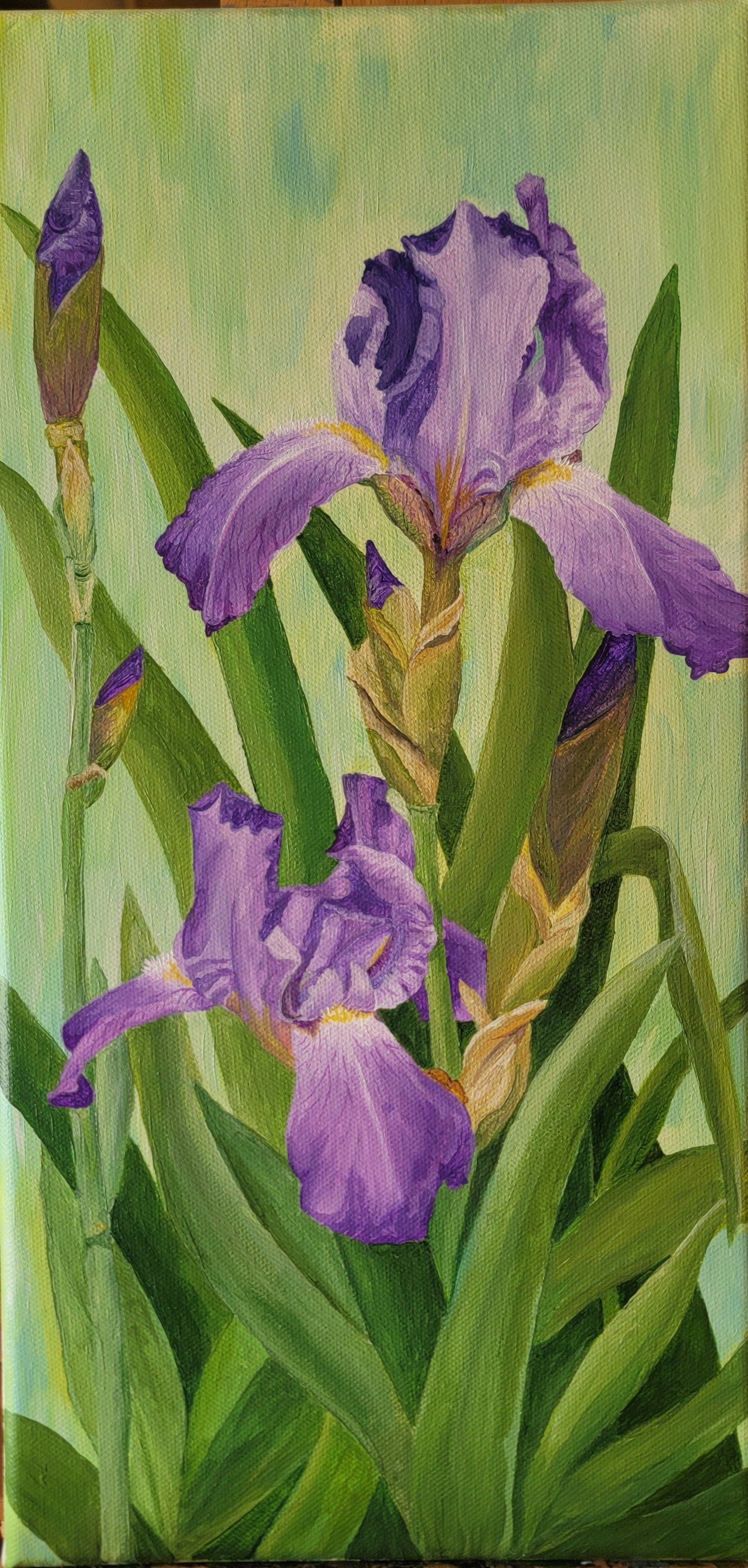Olga Prykova's Iris Rhapsody oil painting features purple irises