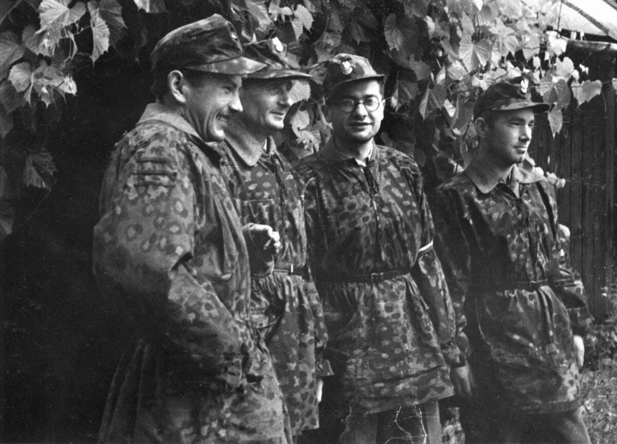 1980s Polish military camouflage patterns and markings
