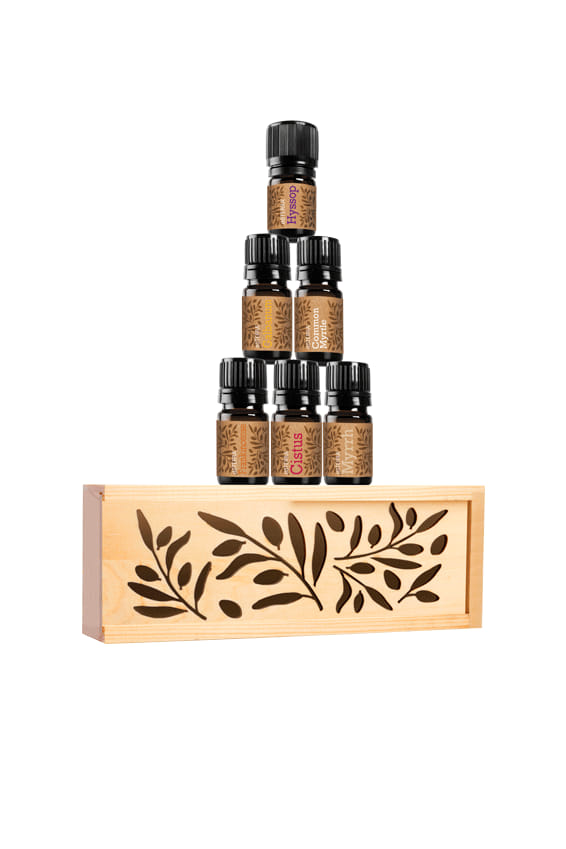 ドテラdoTERRAのANCIENT OILS Ancient essential oils for health and wellbeing