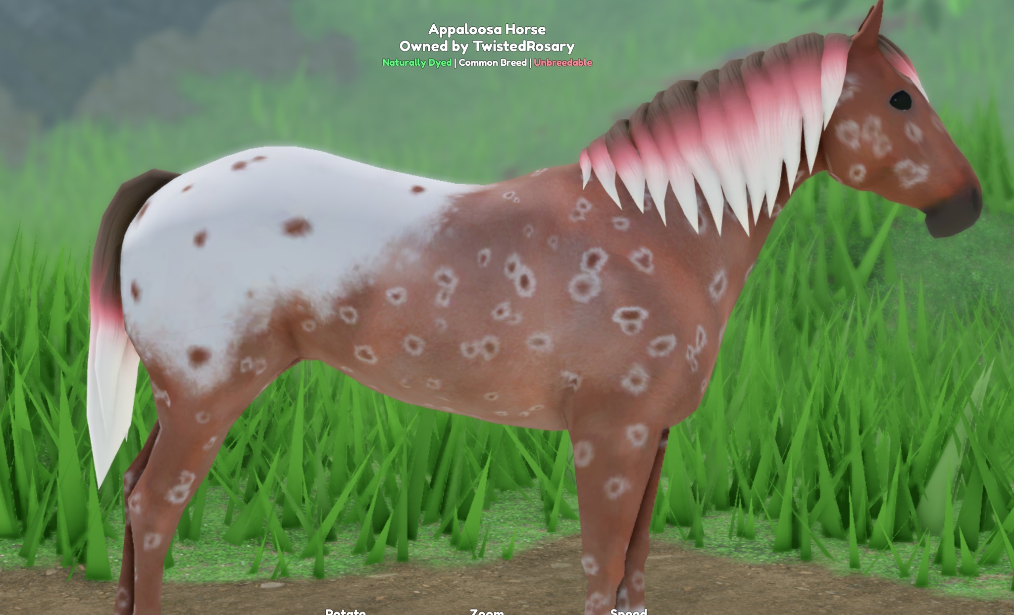 Natural dyed wild horse caught