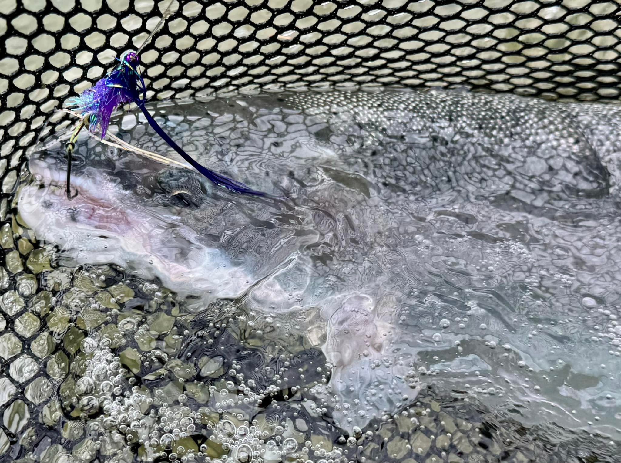 deans fishing nets DENSTUS 10FT Cast Net Bait Easy Throw Hand Cast Strong Steel Sinker Nylon Mesh Bottom Spread Fish Line Mesh : Sports & Outdoors embossed aluminum handle delivers a secure Dean Bortz: Here's how the