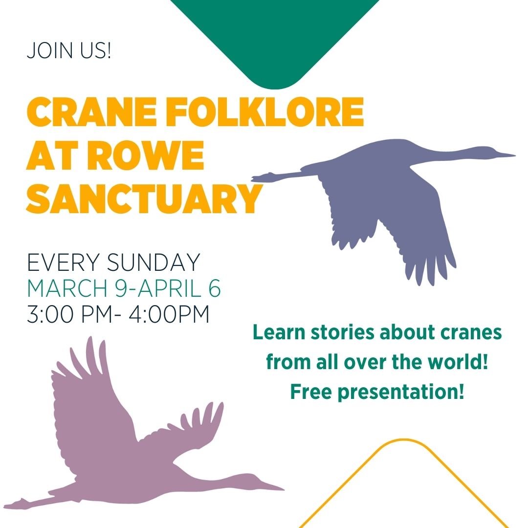 Rowe - Did you know that there are 15 species of cranes throughout the ...