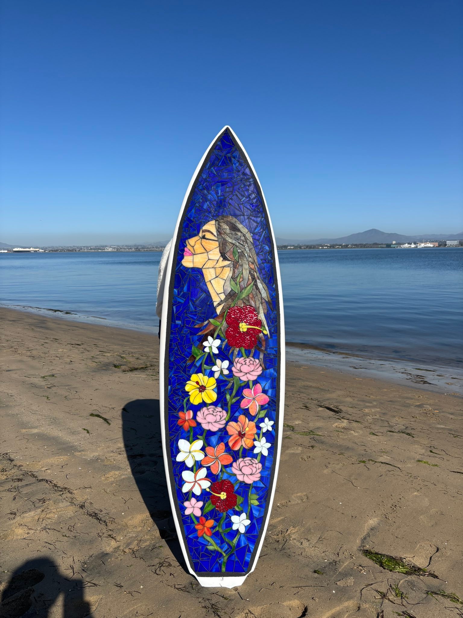 絵♡beach♡surfboard♡ロンハーマン♡ジャクソンマティス♡tcss 