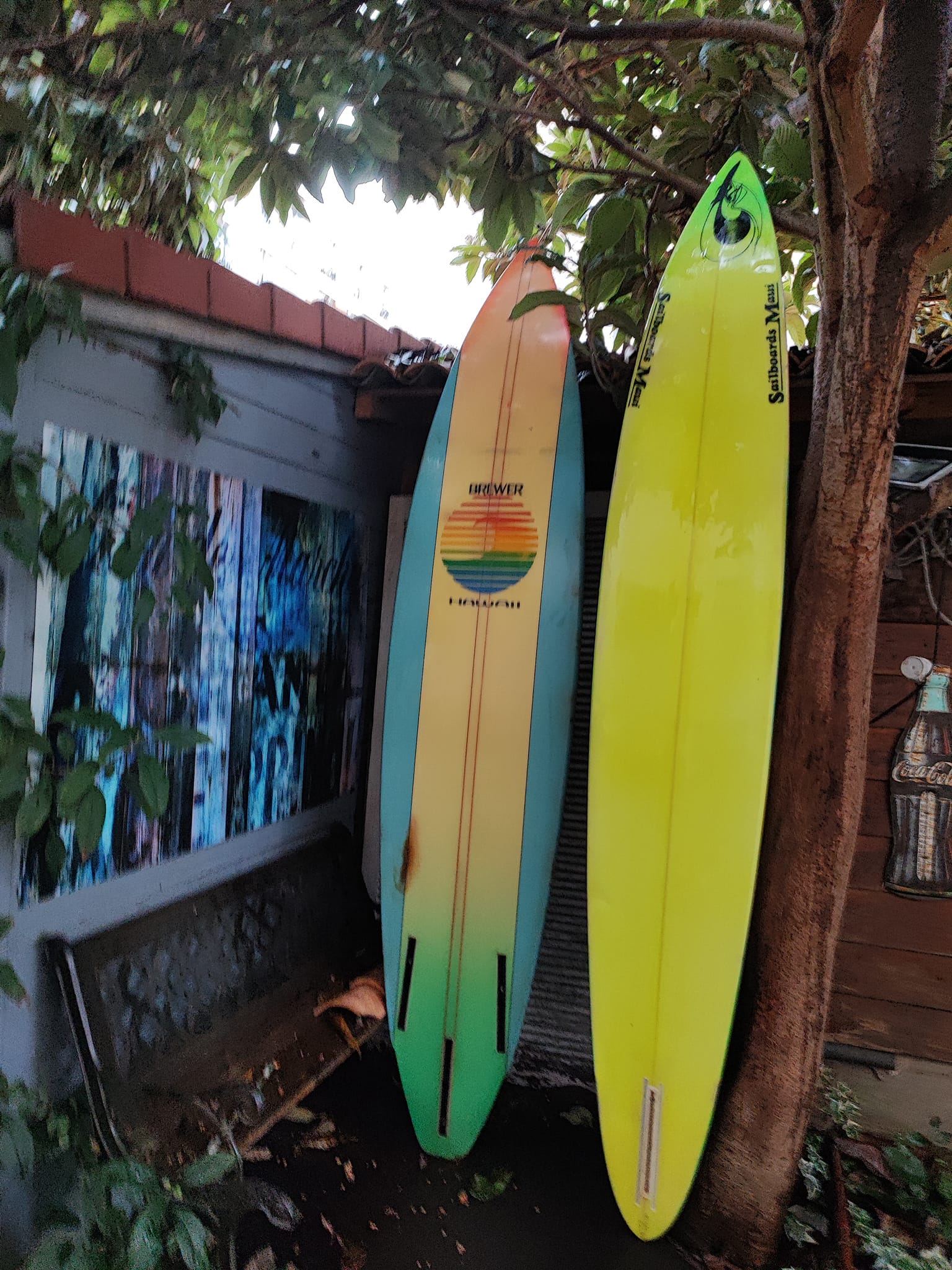 Rare Surfboards Shaped by Dick Brewer and Owl Chapman in Hawaii