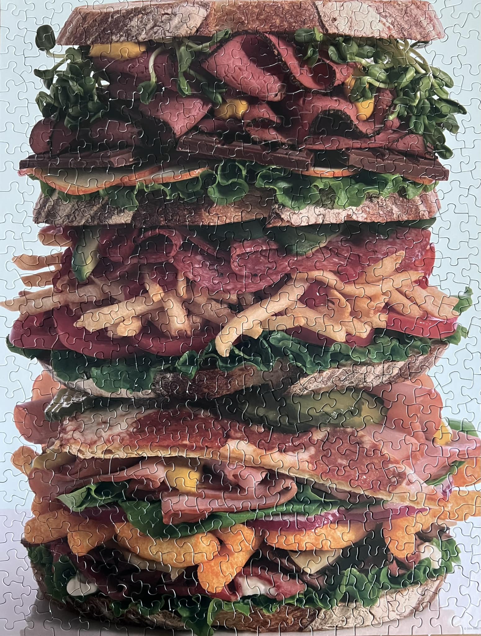 2026 puzzle #82, 500 pieces. Springbok: 