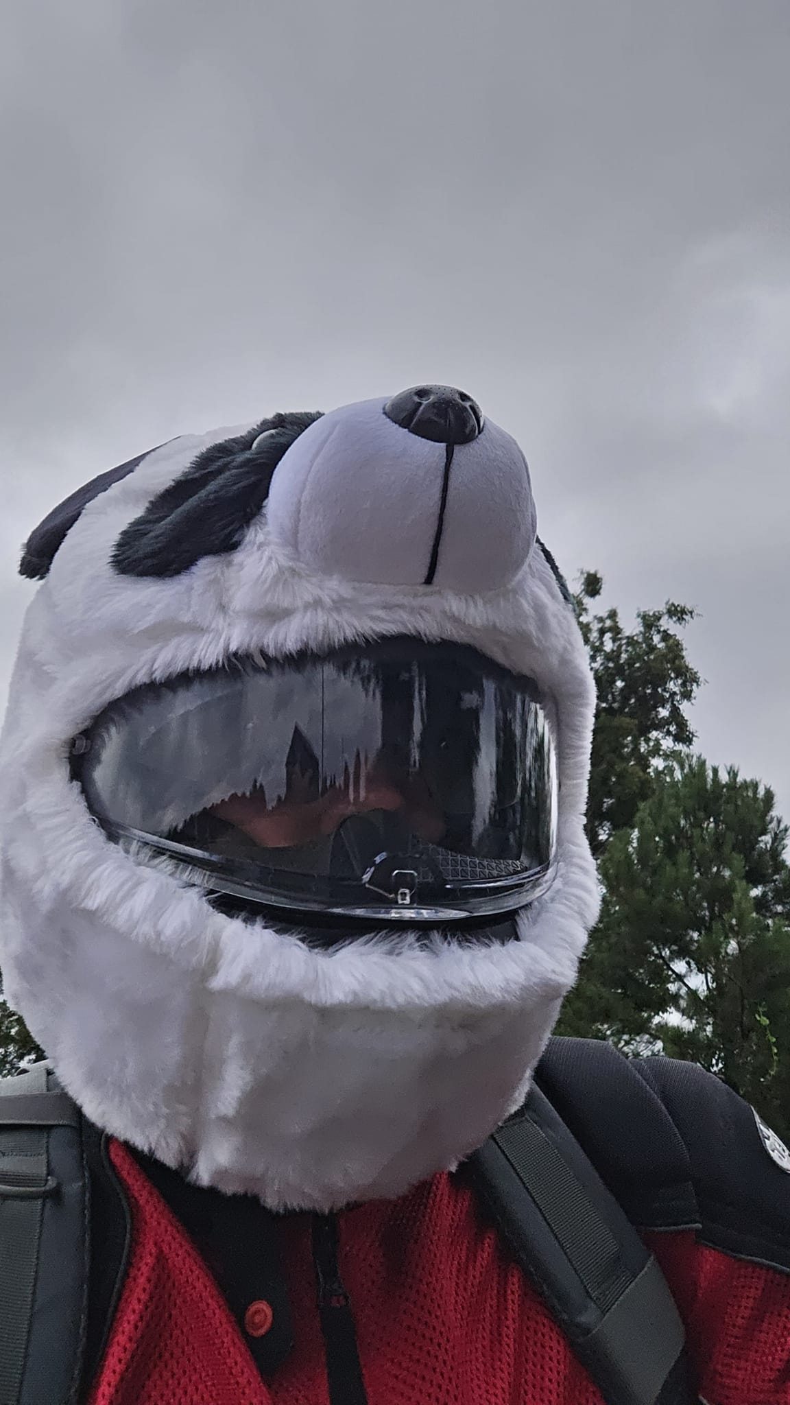 bear motorcycle helmet cover Ice Age Sid Reduce wind noise Motorcycle Helmet Cover - Bear