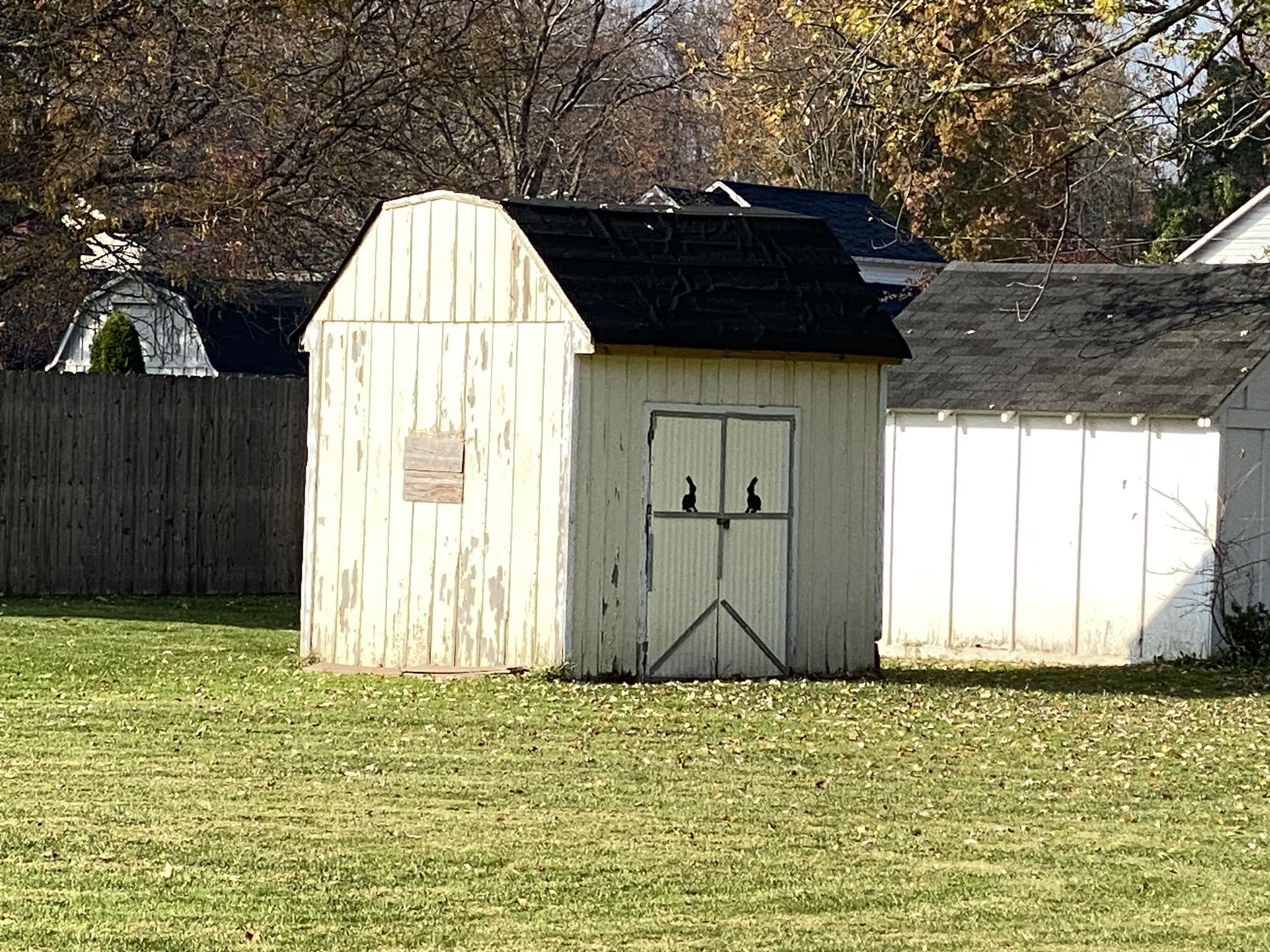 Things with Faces | Mad Shed, or Just Upset | Facebook