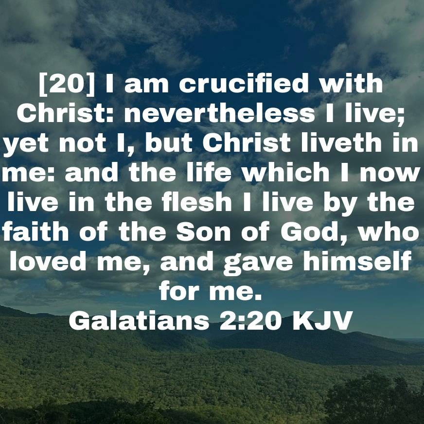 King James Version Holy Bible Believers; The Preserved KJV Scriptures ...