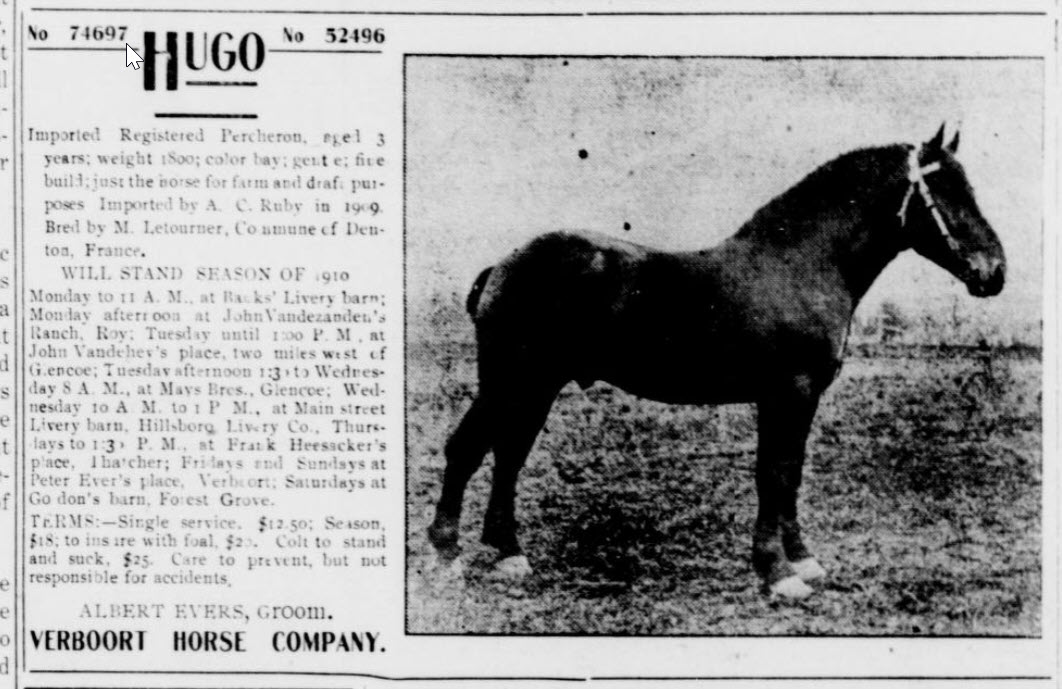 August Object of the Month: Dr. D.W. Lynch's Horse Racing Trophy