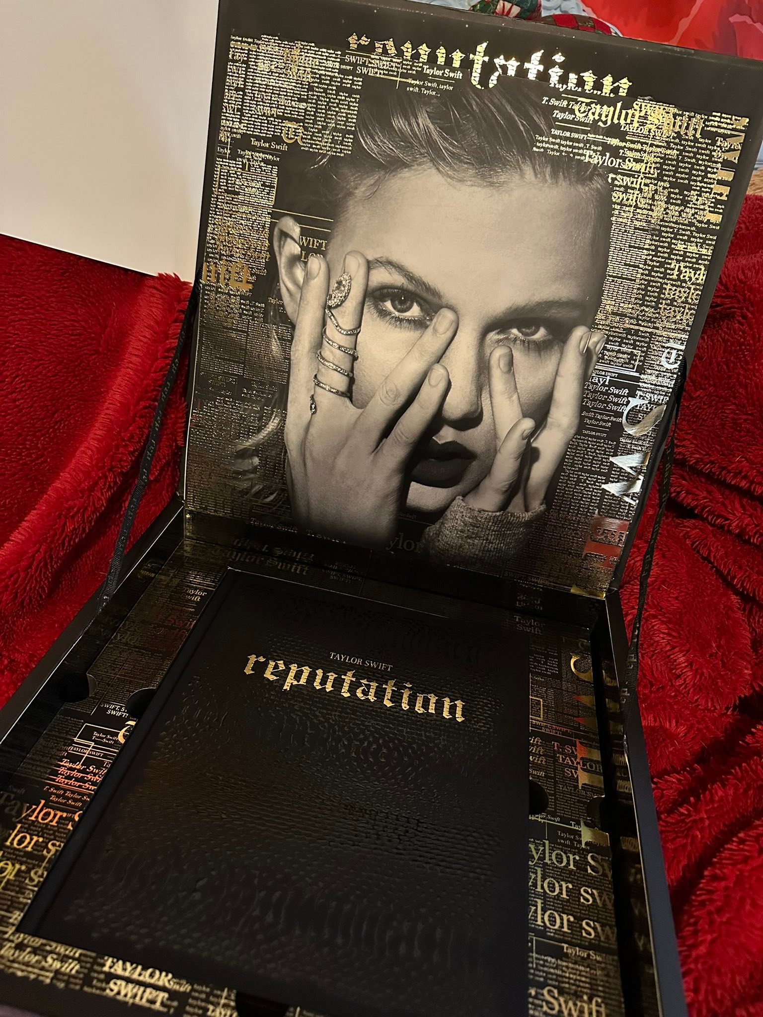 Taylor Swift Reputation Tour 限定VIPBox