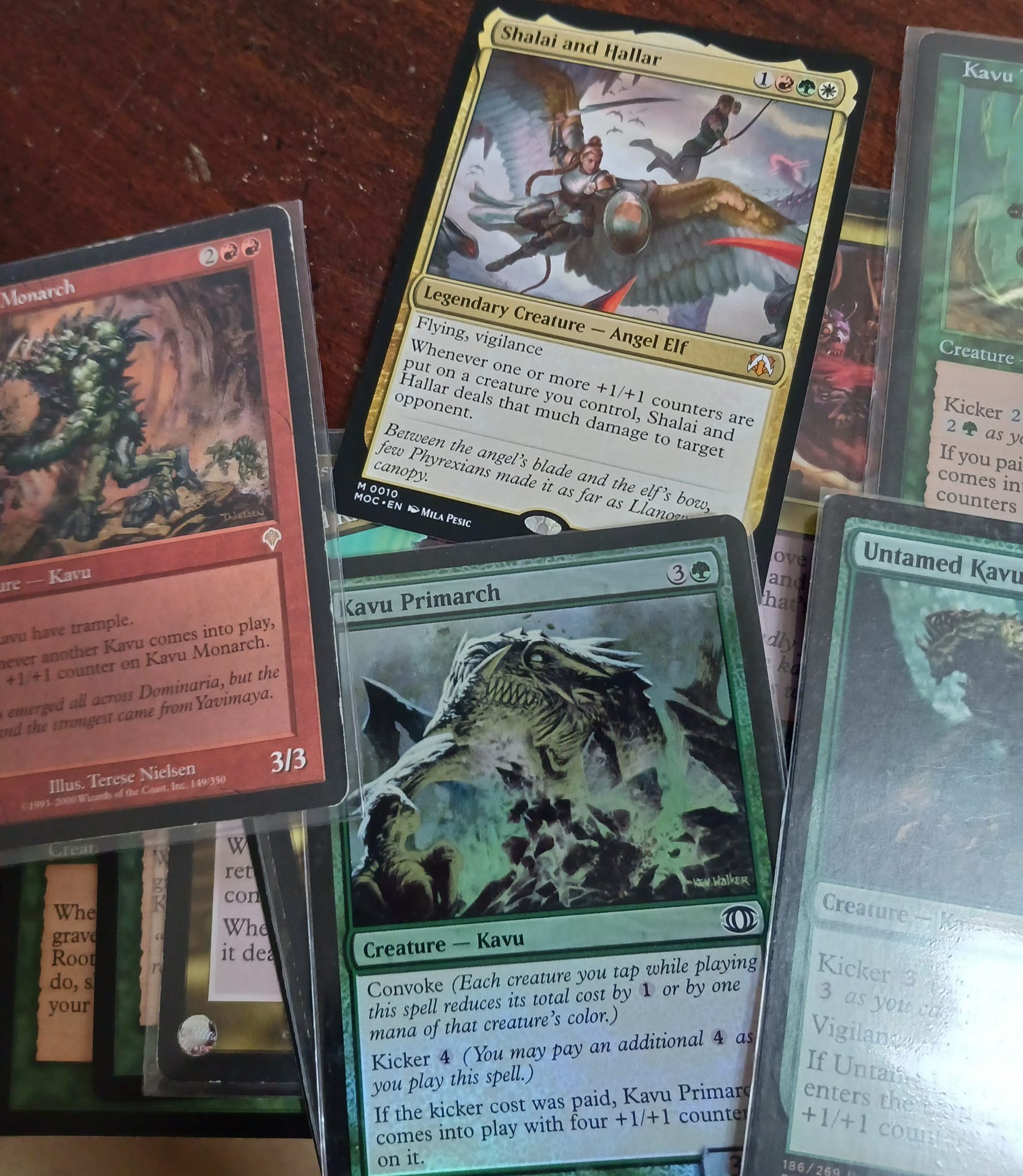 mtg shalai and hallar commander deck [10] [March of the Machine: Commander] [Foil]  Face to Face Games The Gathering Shalai and Hallar - #1