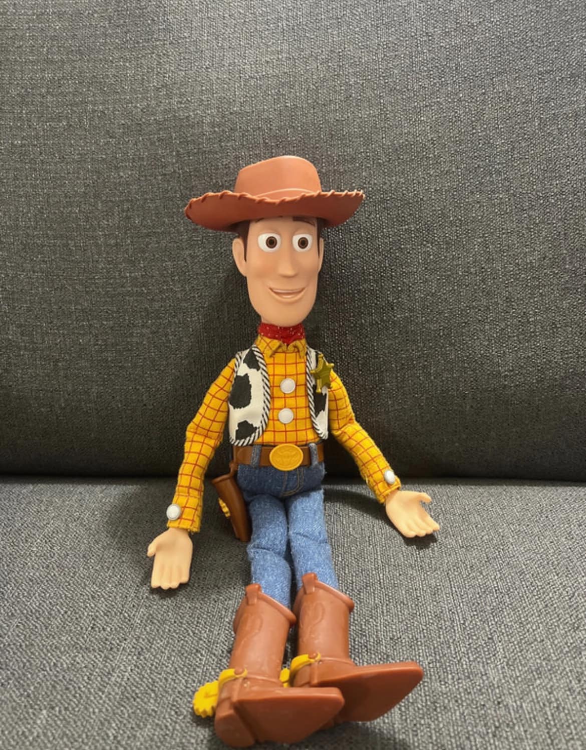 Howdy Partner!! Check out our new 'Howdy Partner Woody' with