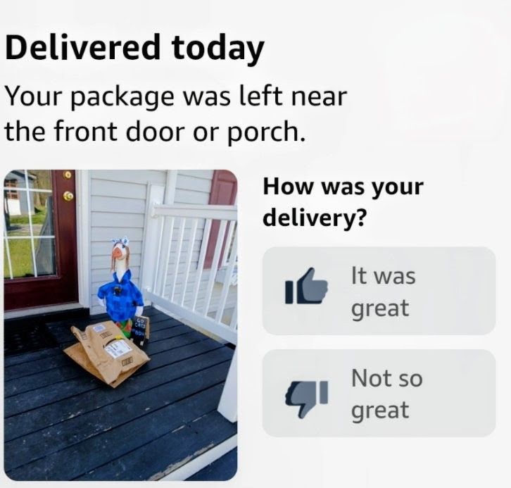 Amazon delivery driver understood the assignment!! 🙂(Probably a