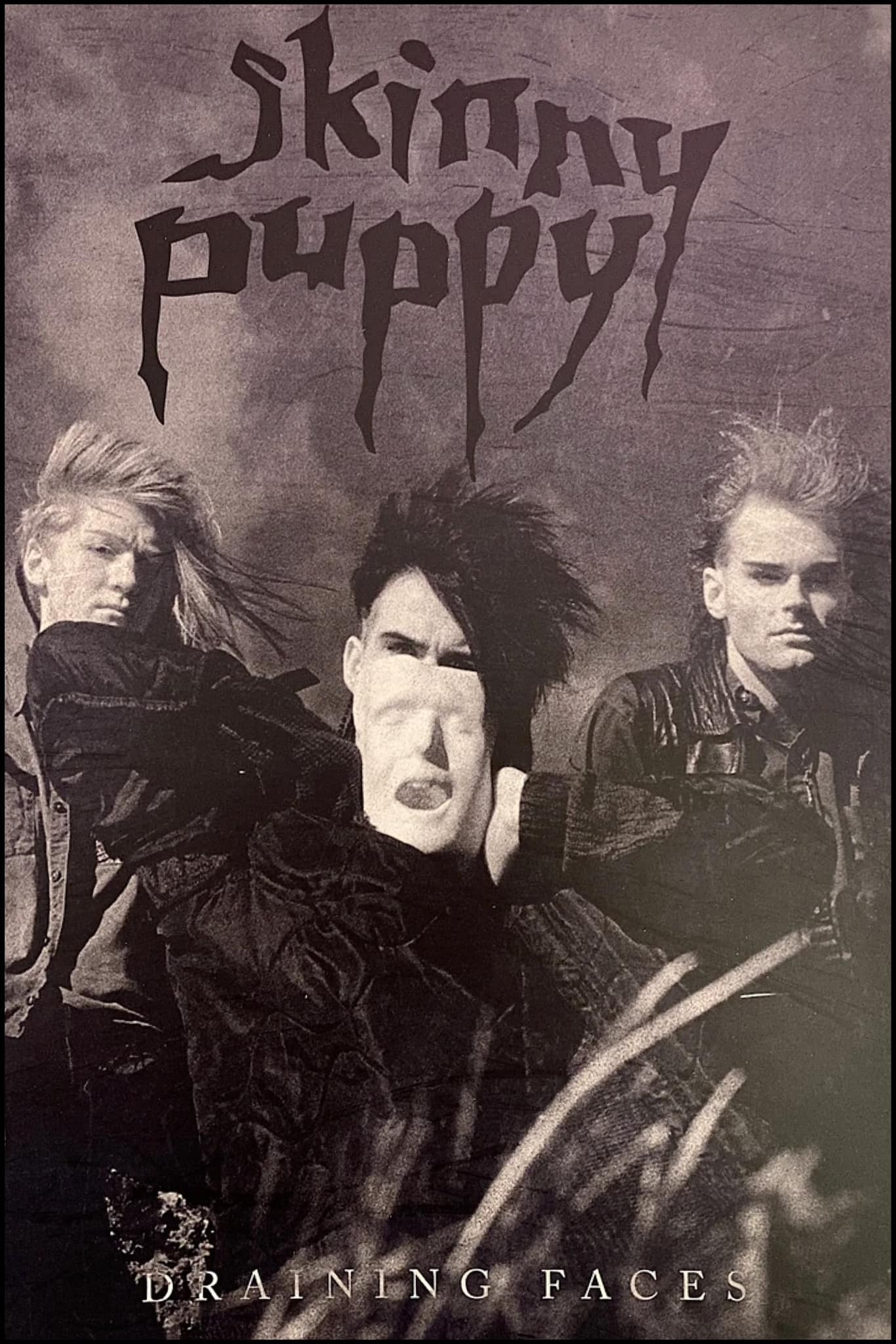 Skinny Puppy's Cleanse, Fold and Manipulate album