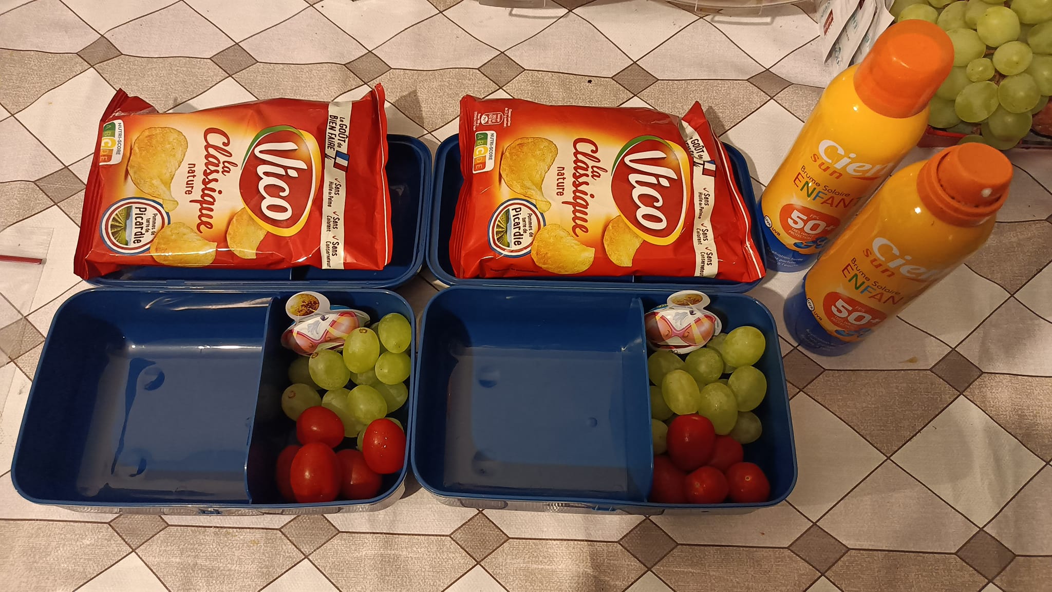 Lot De 3 Mini Blocs De Glace Réutilisables – 8 Cm, Poids <113g, Gel Alimentaire, Couleur Aléatoire, Pour Lunch Box, Pique-nique