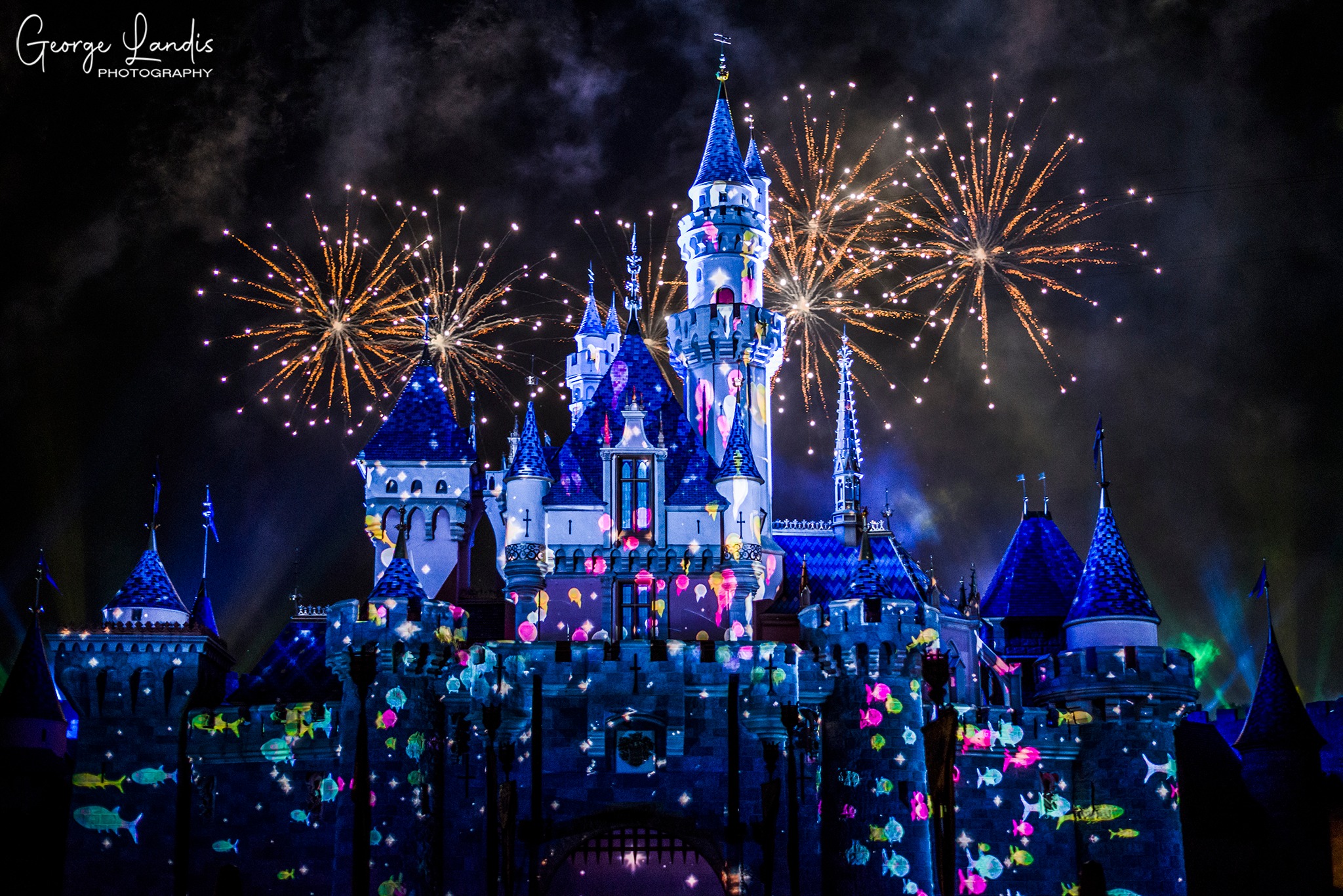 Nikon D750 with 50mm f1.8 lens at Disneyland