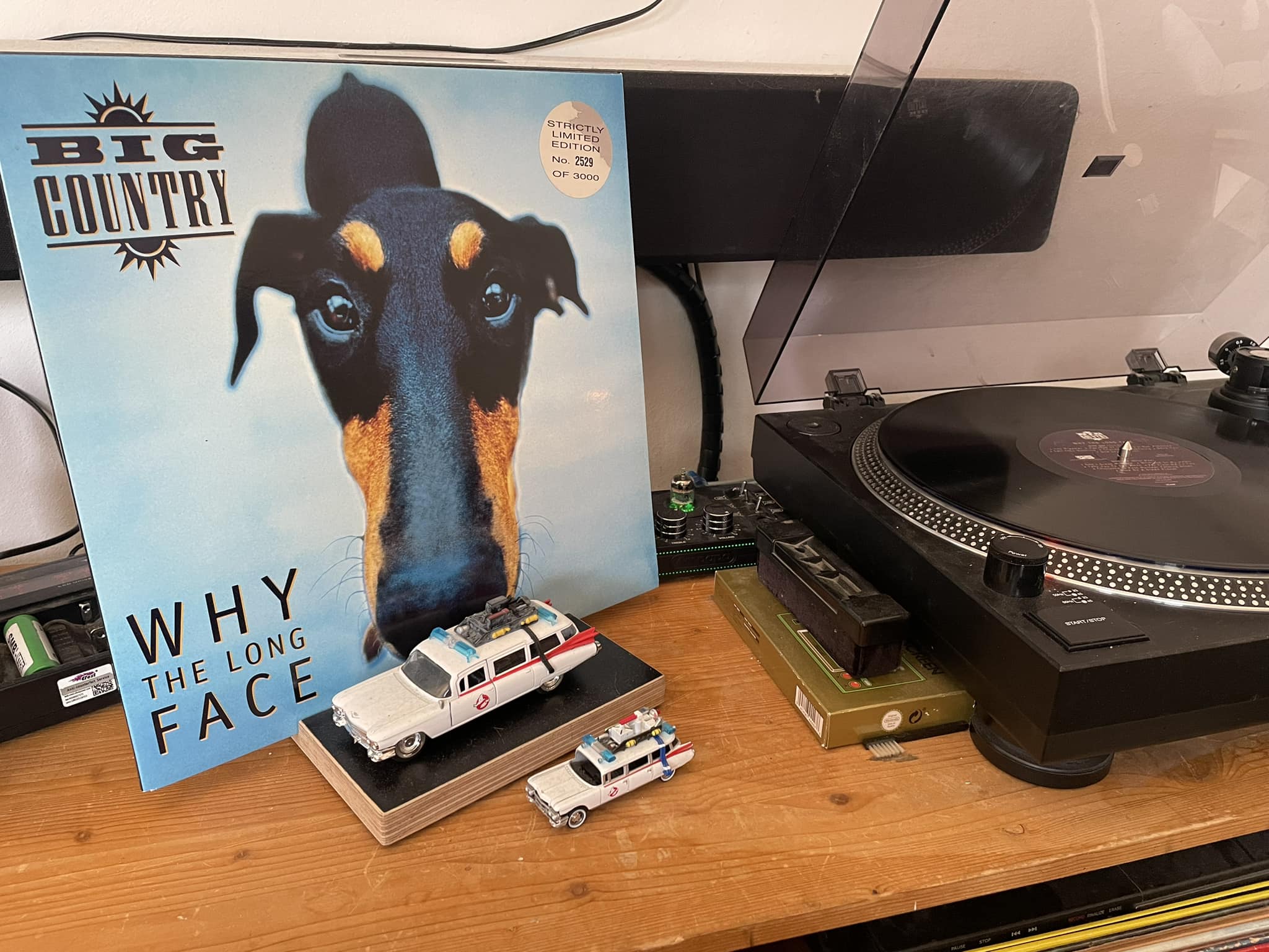 Big Country - Why The Long Face (limited edition/turquoise vinyl)￼