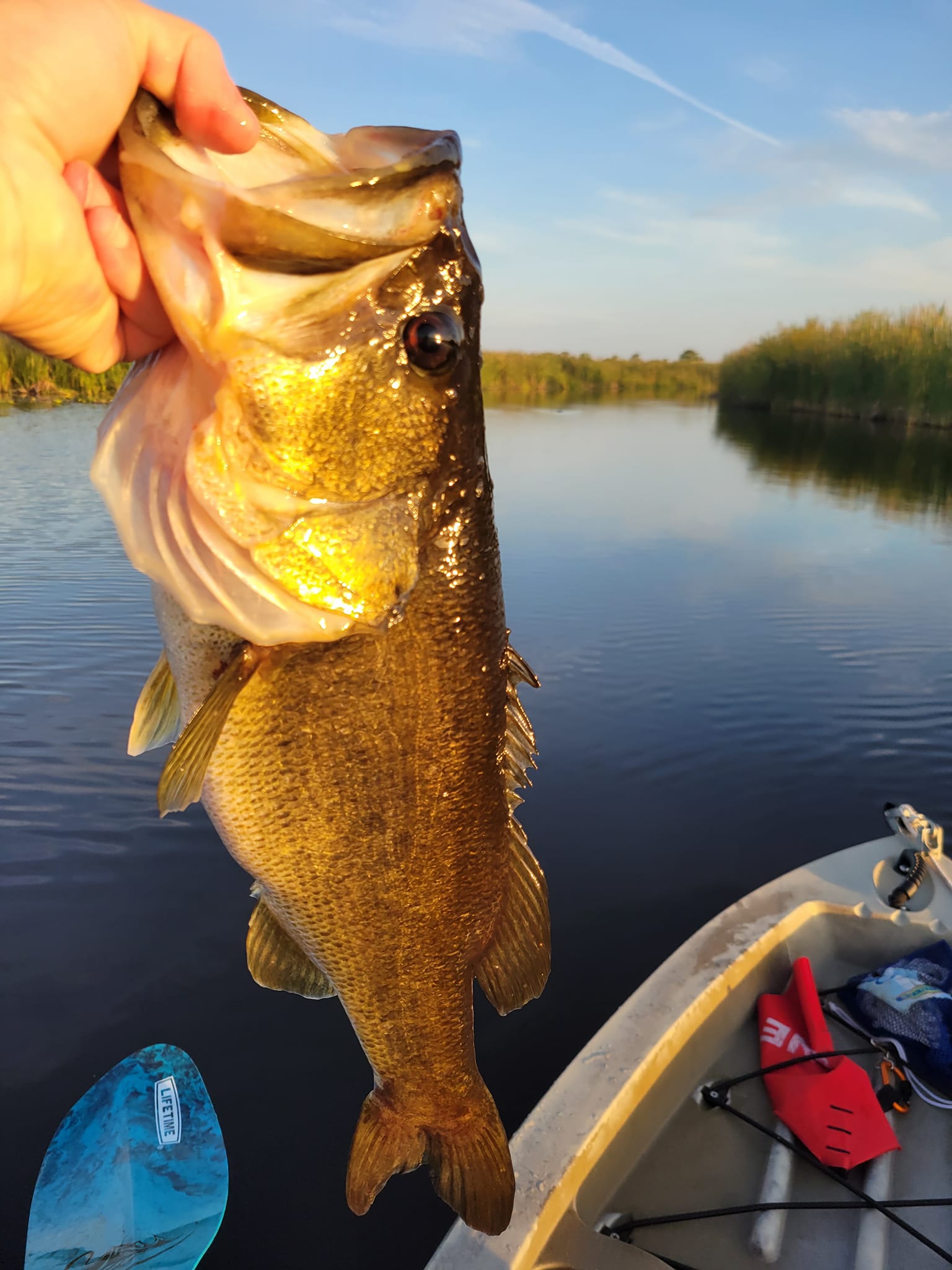 browning fishing pole spares Xitan 2eX-S Uni Sections Square Protector Cupping locator Size:Southern Shad (4.5