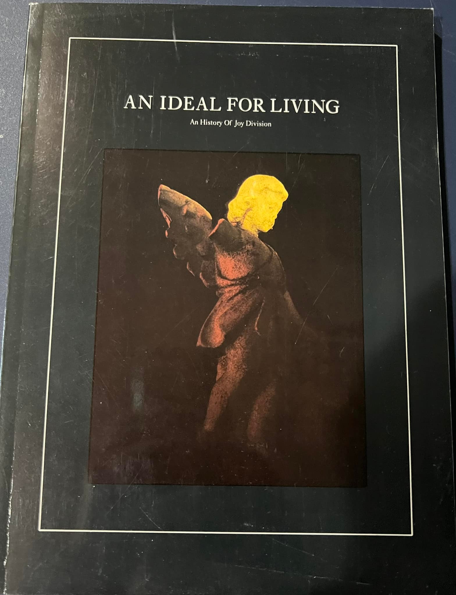 Joy Division book review: An Ideal for Living