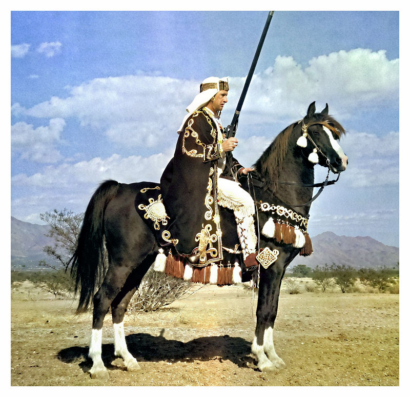 Jim - A great old photo of Skorage (Gaysar x Rageyma by *Mirage and out ...