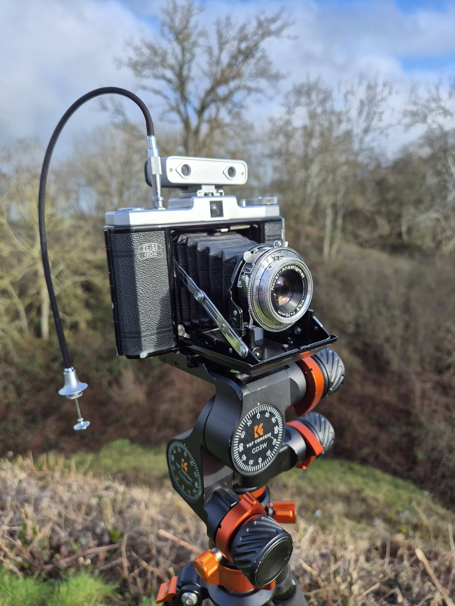 Testing 1955 Zeiss Ikon Signal Nettar camera with Novar lens