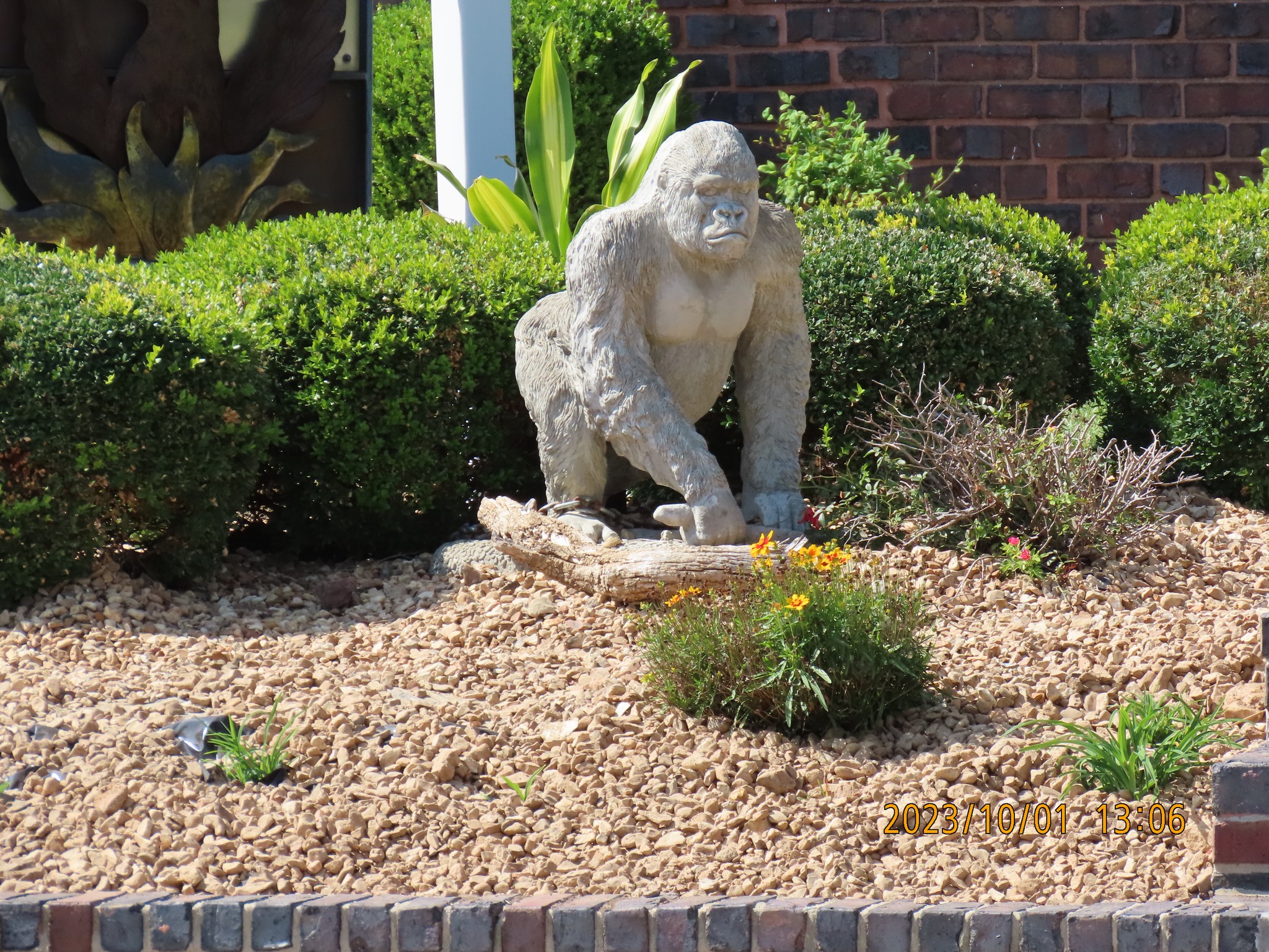 gorilla, bandiera da giardino, decorazione per cortile, 30,5 x