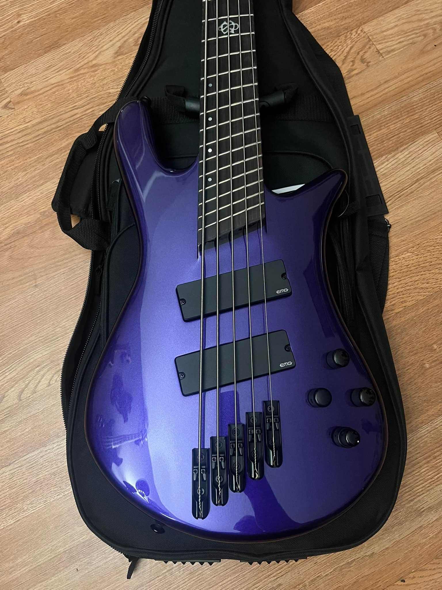 Spector bass guitars with darkglass tone capsule