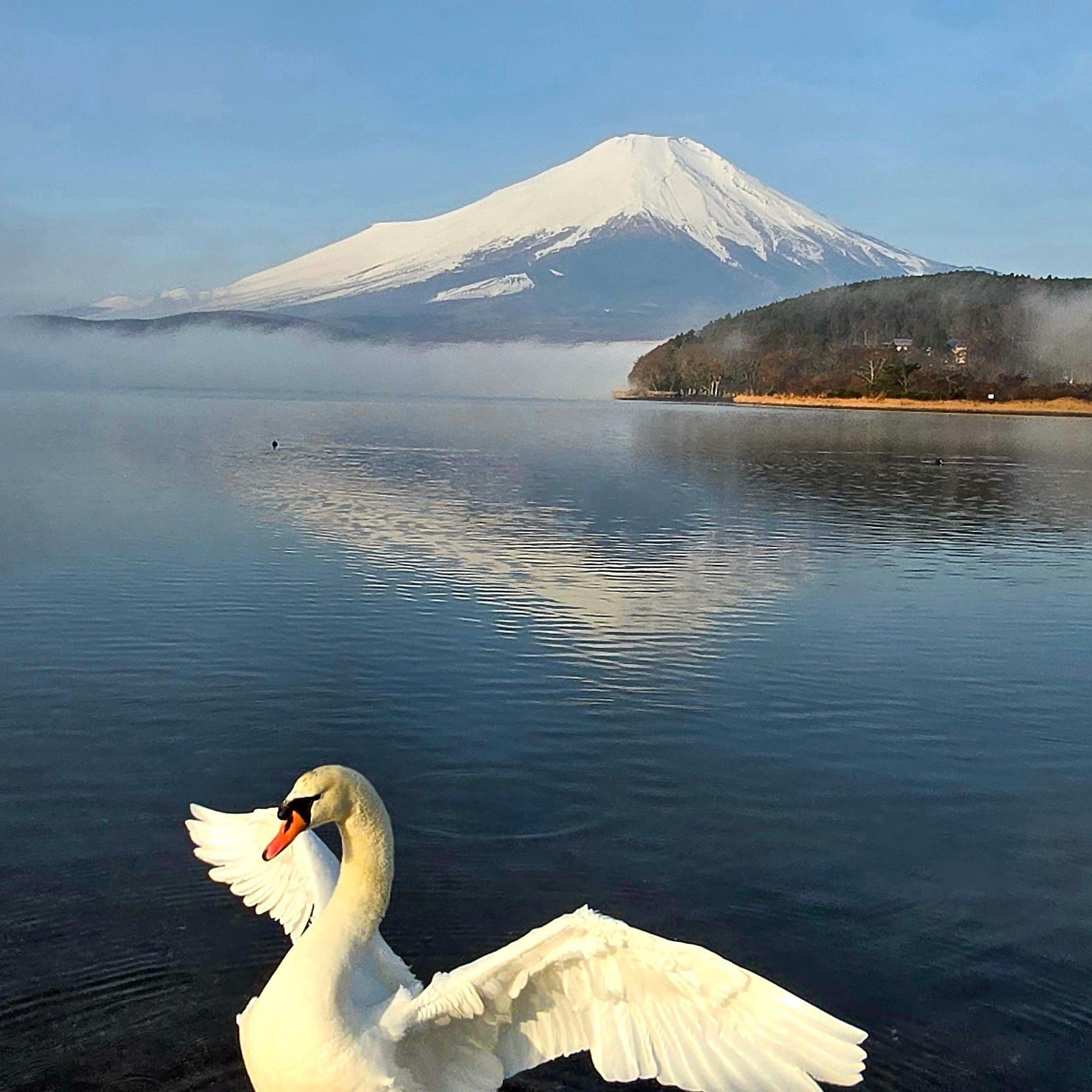 Michael Moller - Another early morning looking back on... | Facebook