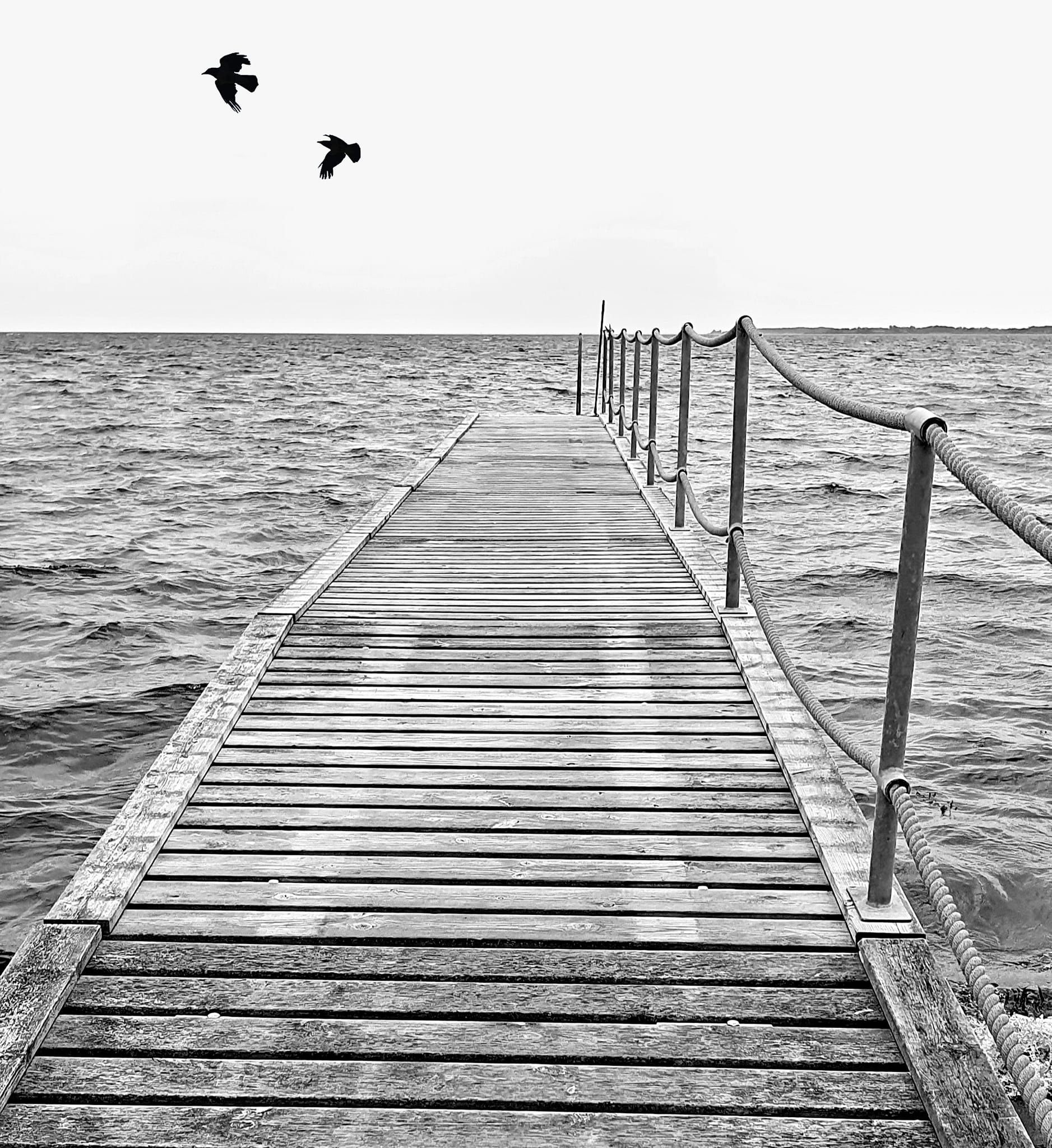 Dorthe Rasmussen