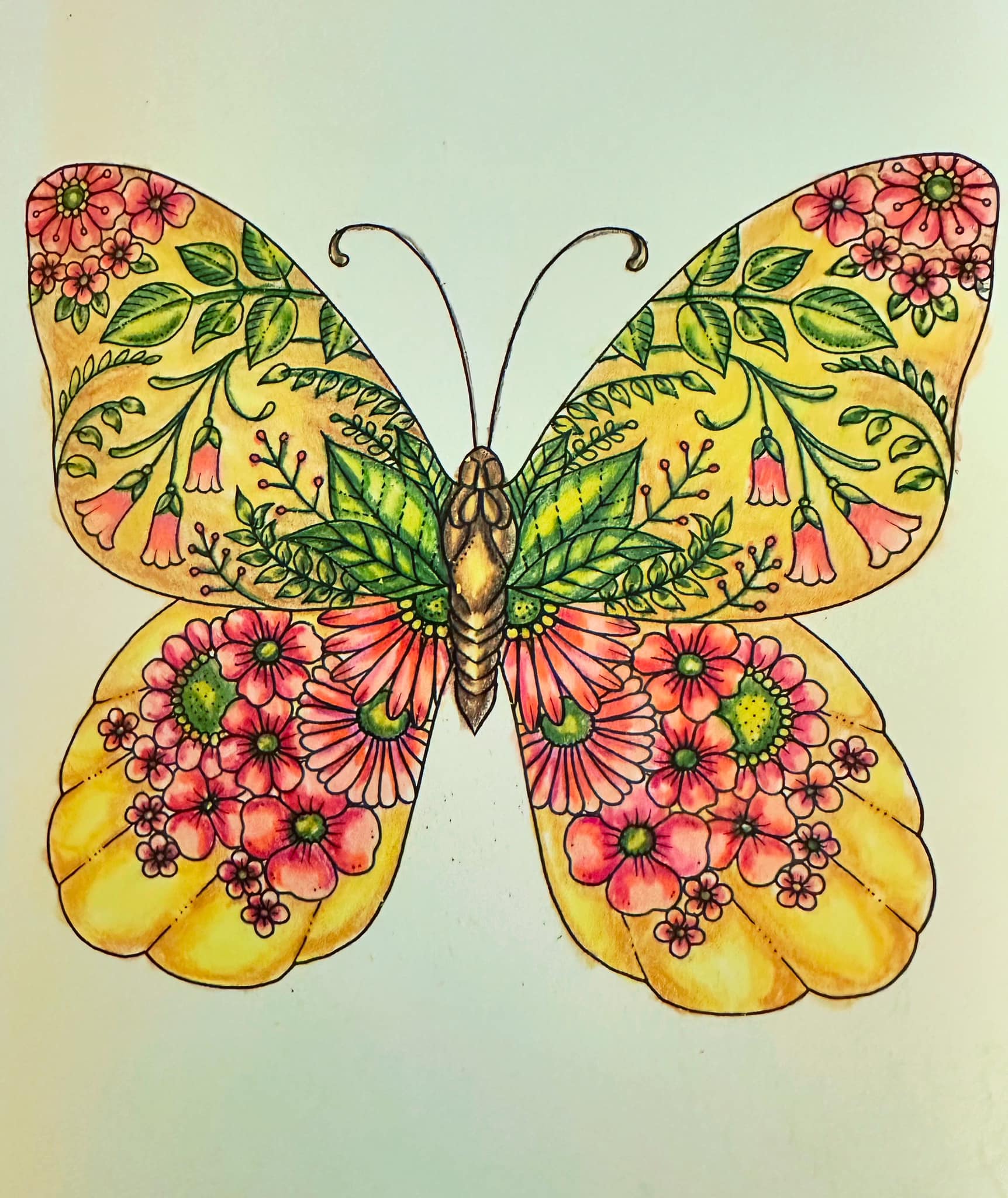 Johanna Basford's Small Victories colored with Evazar pencils