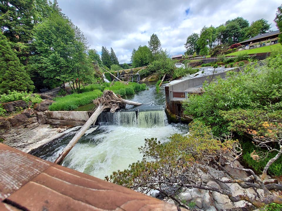 outdoor zelt leicht Zelt, Kuppelzelt 1 Person, Schneller Aufbau, Ultra-leicht biwakzelt, Wasserdicht, Kleines Packmaß, für Camping, Trekking, Outdoor, Festival Sport & Freizeit Category:E Bike_Syncros Capilano Trekking Memory Foam Epic Seven | Top Model:Shorty & White Goggles White