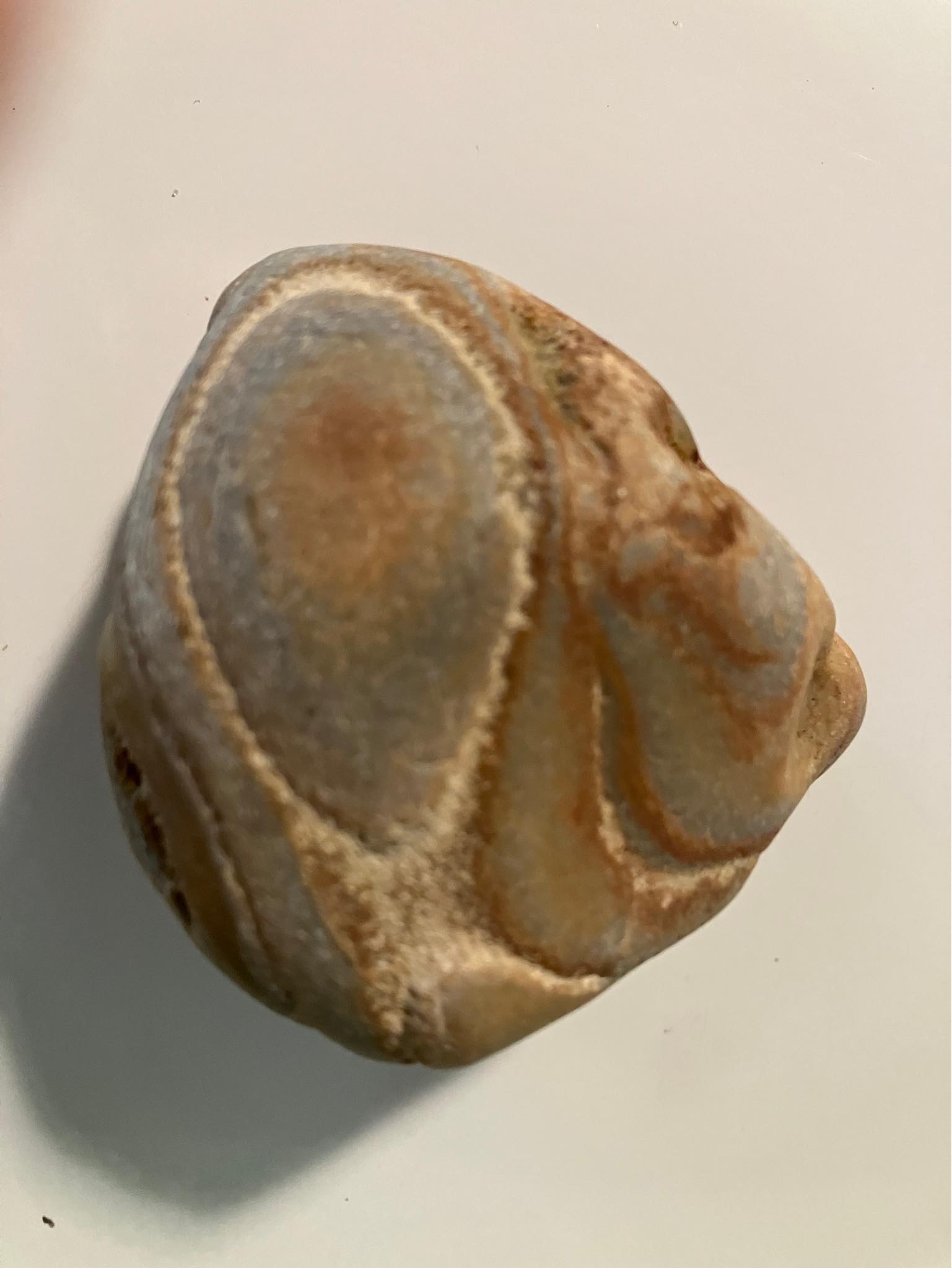 Septarian nodule found in Fennville, MI