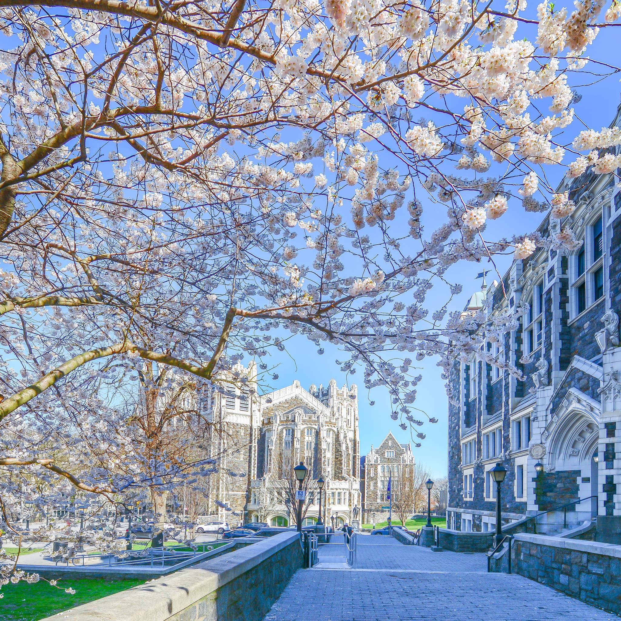 City College NY in Harlem.. great Gothic architecture