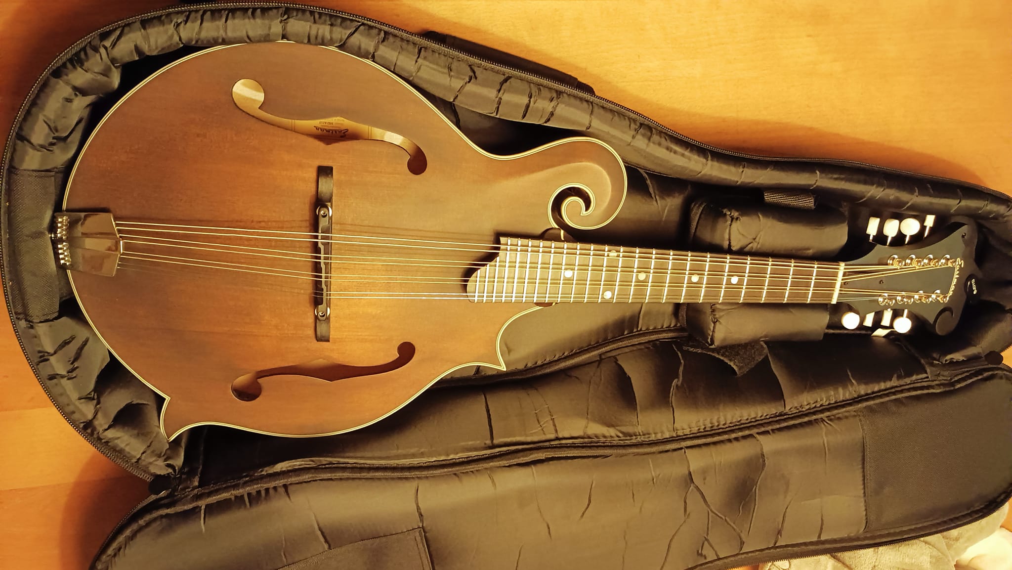 Eastman MDA-315 マンドラ ピックアップ搭載