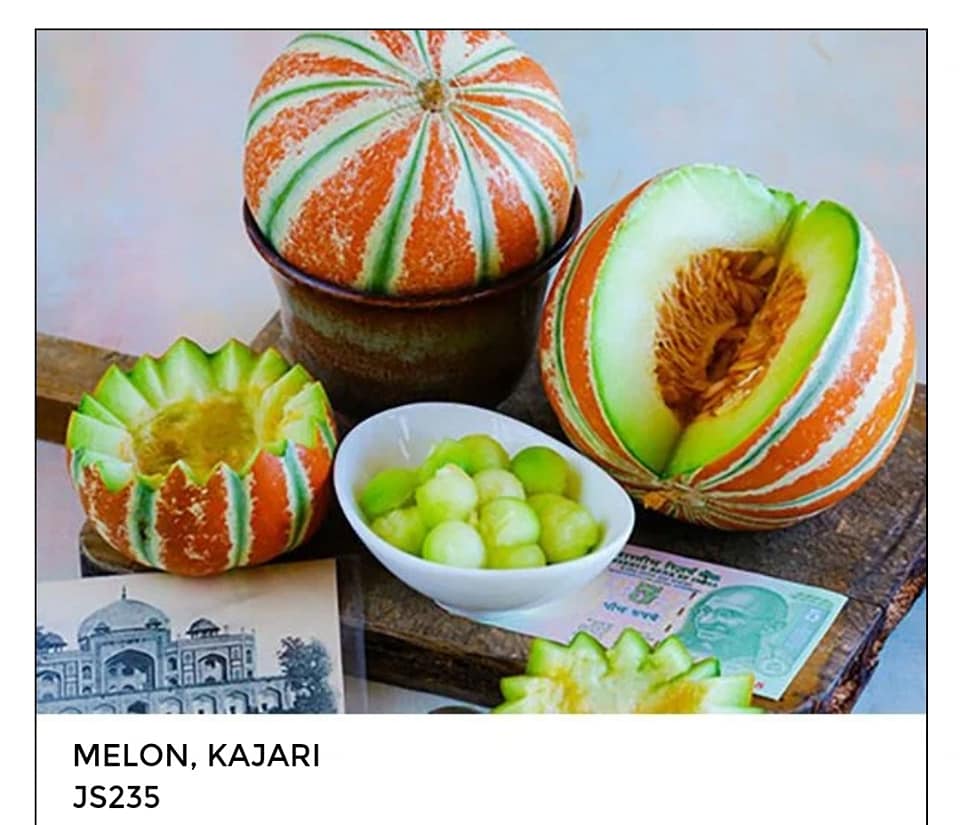 Semi Di Melone Rich Sweetness 132 Dalla Russia - 5+ Semi - Varietà CM 044