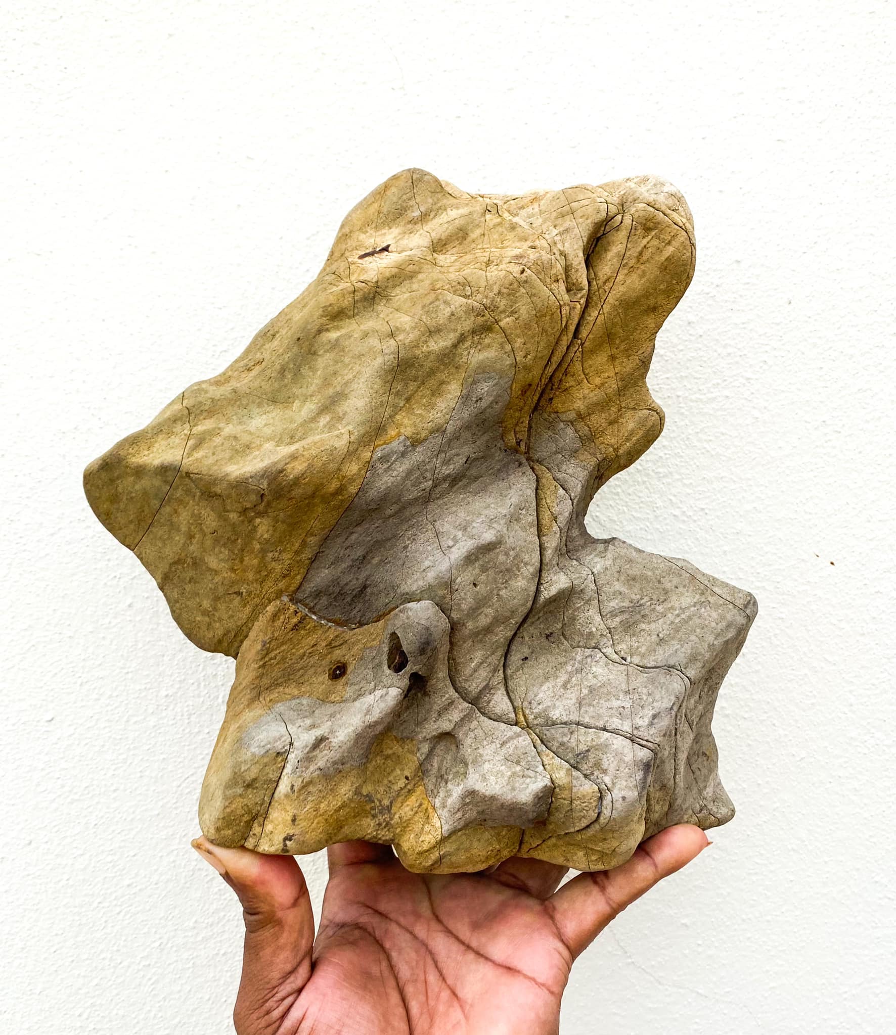 Beautiful mizutamari-ishi suiseki stone from Furuya-ishi area